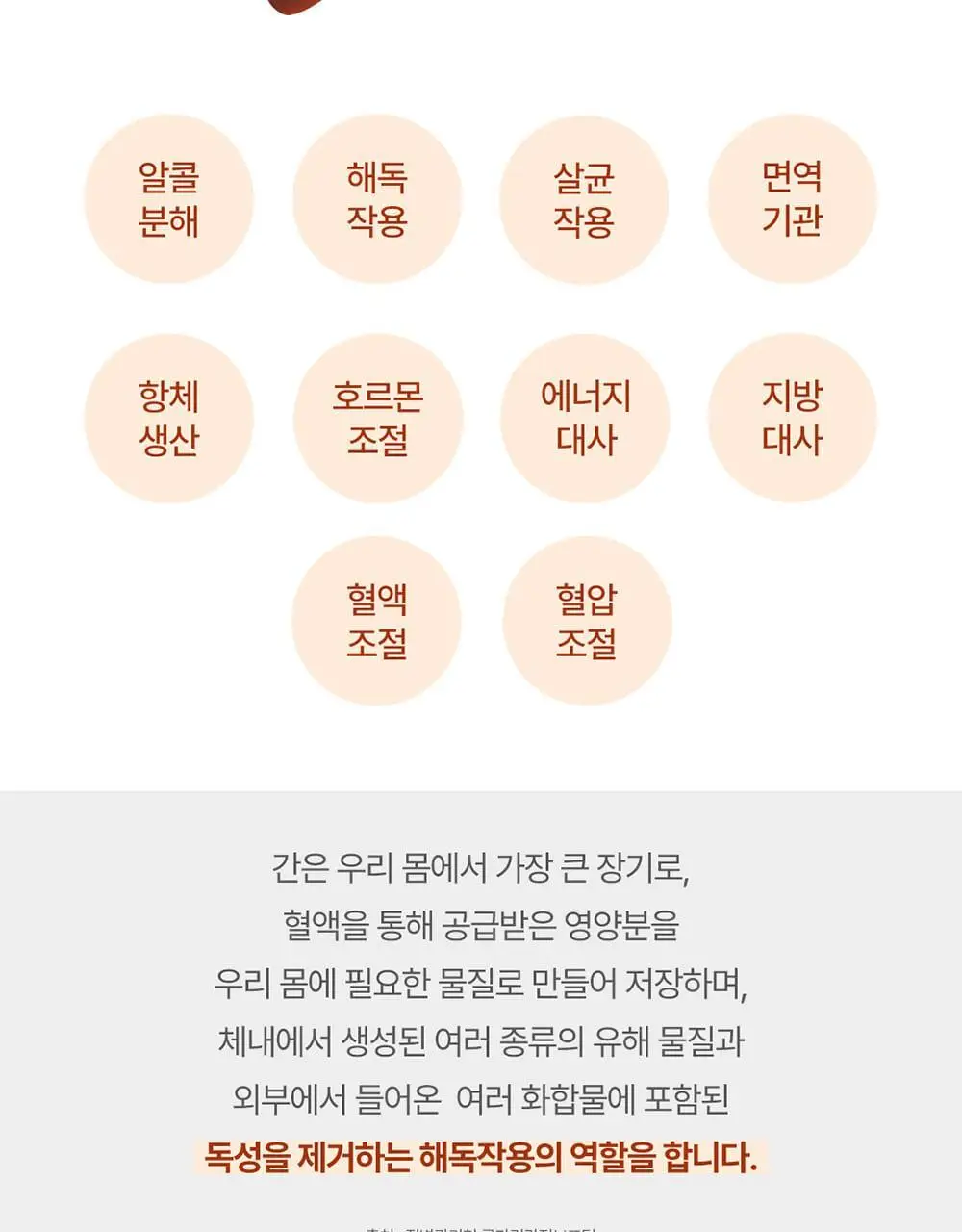 [대용량] 그린몬스터 맥스 밀크씨슬 10 90정 (3개월분) 상세페이지 36